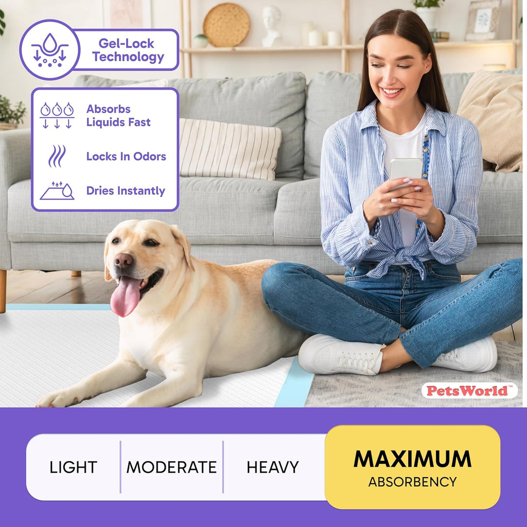 2XL Dog Pee Pads 28"X44" 200 Count – Extra Large Pet Pee Pads for Dogs & Puppies, Heavy Duty Leak-Proof Dog Training Pads, Super Absorbent Quick-Dry Potty Pads with Odor Control