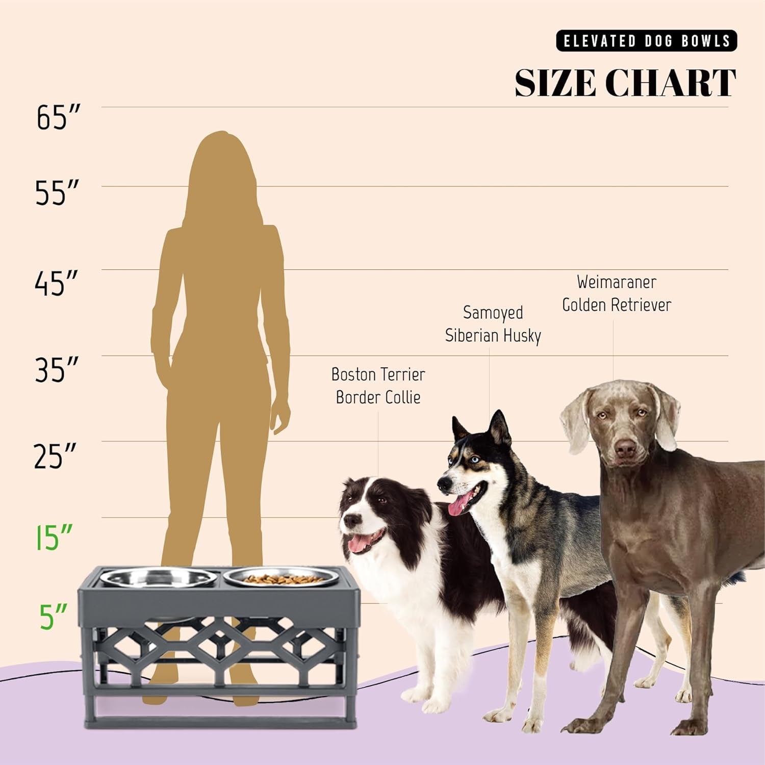 Elevated Dog Bowls, 4 Height Adjustable Stand for Medium and Large Dogs, Raised Dog Feeder Holder with 2 Stainless Steel Food and Water Bowls, Anti-Slip Base Tall Feeding Station