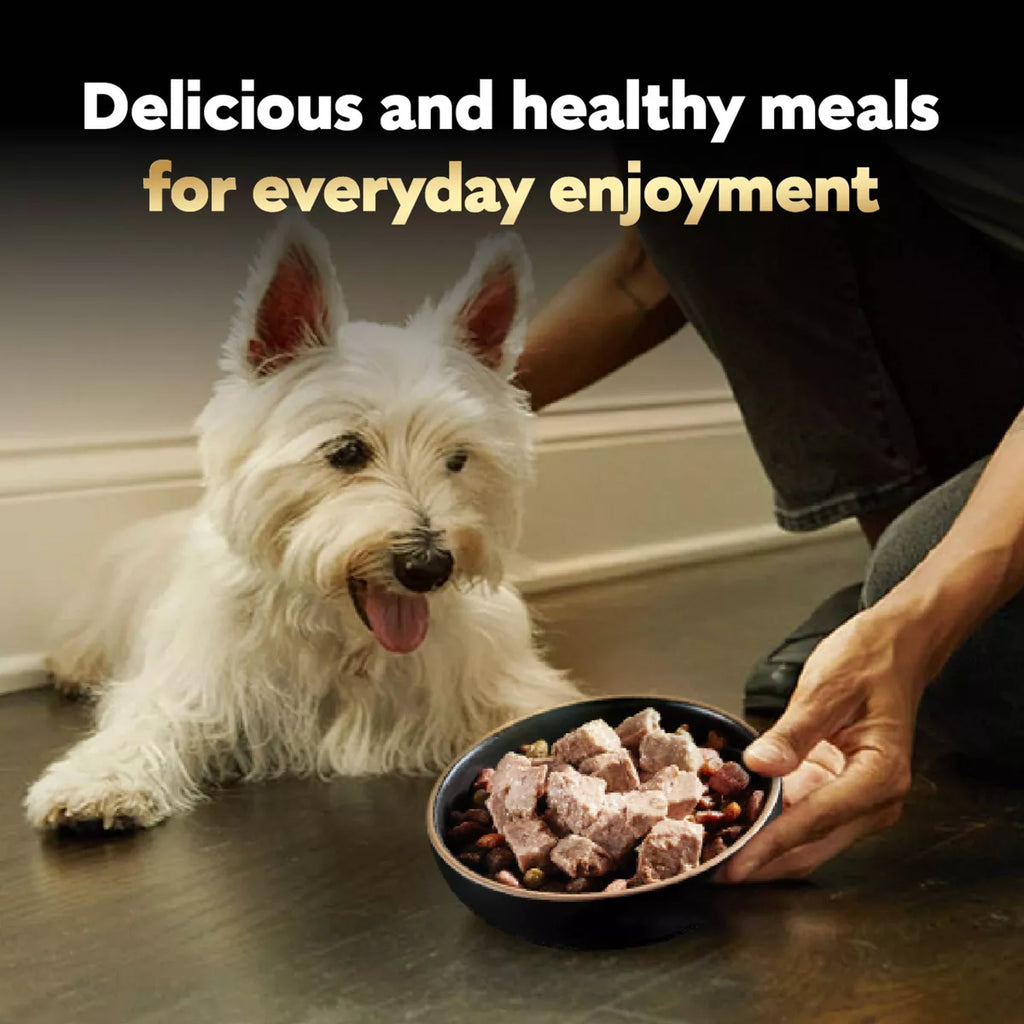 Cesar Classic Loaf in Sauce Grilled Chicken and Gravy Flavor Small Breed Wet Dog Food - 3.5Oz