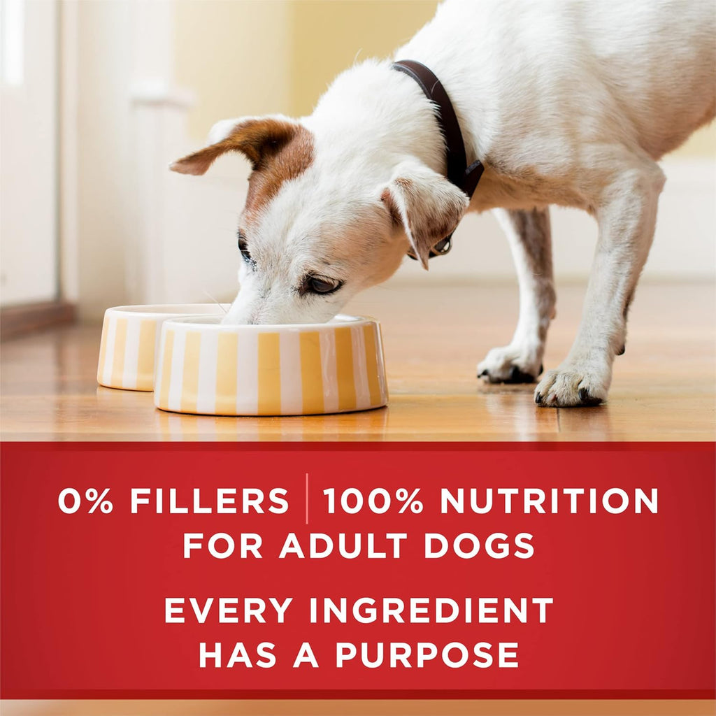 Natural High Protein Dog Food, Tender Cuts in Gravy Chicken and Brown Rice Entrée - 13 Ounce (Pack of 12)