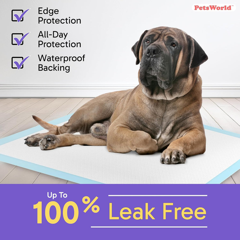 2XL Dog Pee Pads 28"X44" 200 Count – Extra Large Pet Pee Pads for Dogs & Puppies, Heavy Duty Leak-Proof Dog Training Pads, Super Absorbent Quick-Dry Potty Pads with Odor Control