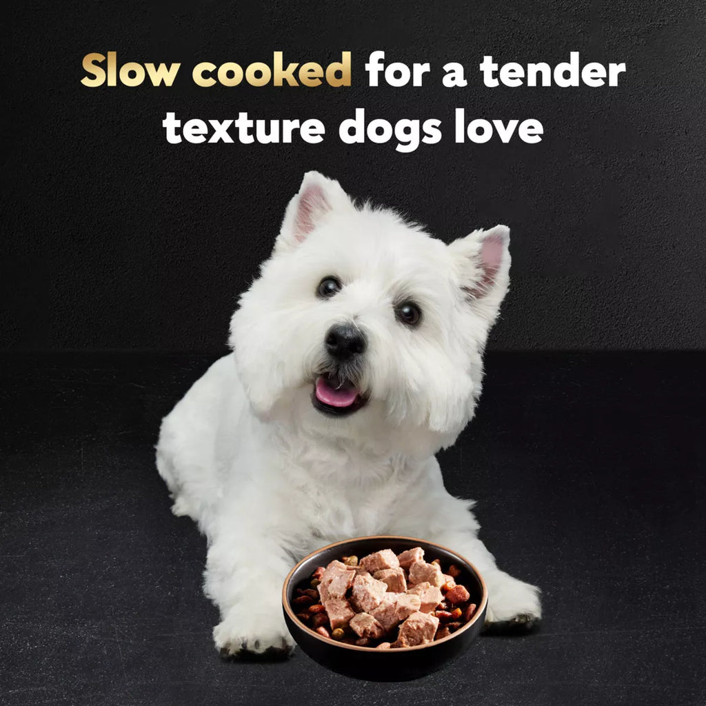 Cesar Classic Loaf in Sauce Grilled Chicken and Gravy Flavor Small Breed Wet Dog Food - 3.5Oz